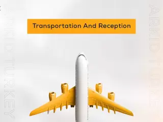 Transportation And Reception